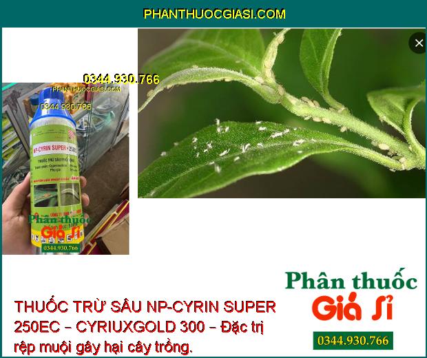 THUỐC TRỪ SÂU NP-CYRIN SUPER 250EC – CYRIUXGOLD 300 – Đặc Trị Côn Trùng Miệng Chai và Côn Trùng Chích Hút