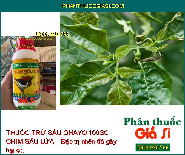 THUỐC TRỪ SÂU OHAYO 100SC CHIM SÂU LỬA – Diệt Trừ Hiệu Quả Nhiều Loại Sâu Gây Hại