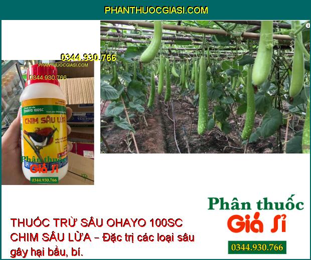 THUỐC TRỪ SÂU OHAYO 100SC CHIM SÂU LỬA – Diệt Trừ Hiệu Quả Nhiều Loại Sâu Gây Hại