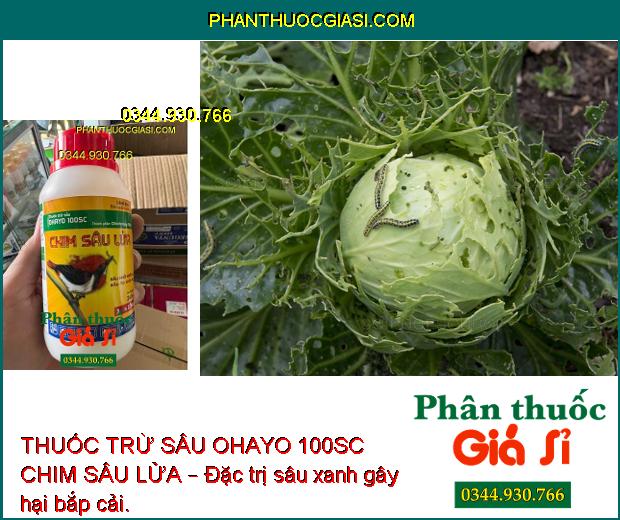 THUỐC TRỪ SÂU OHAYO 100SC CHIM SÂU LỬA – Diệt Trừ Hiệu Quả Nhiều Loại Sâu Gây Hại