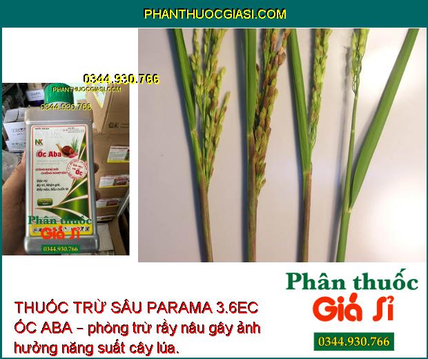 THUỐC TRỪ SÂU PARAMA 3.6EC ỐC ABA – Đặc Trị Bọ Trĩ- Nhện Gié- Rầy Nâu- Sâu Cuốn Lá Hại Lúa