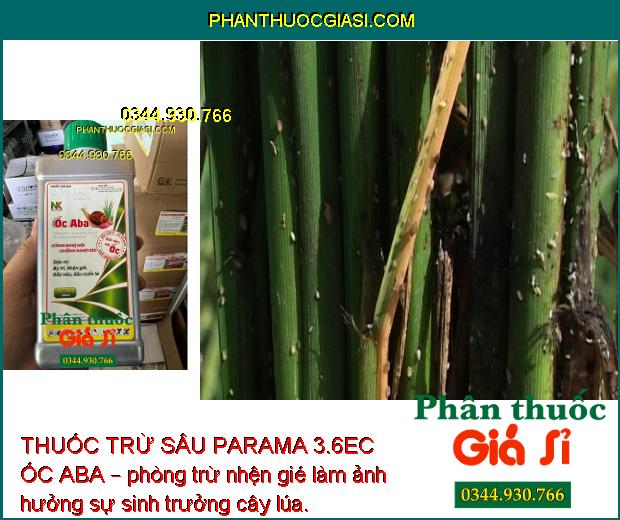 THUỐC TRỪ SÂU PARAMA 3.6EC ỐC ABA – Đặc Trị Bọ Trĩ- Nhện Gié- Rầy Nâu- Sâu Cuốn Lá Hại Lúa