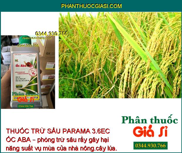 THUỐC TRỪ SÂU PARAMA 3.6EC ỐC ABA – Đặc Trị Bọ Trĩ- Nhện Gié- Rầy Nâu- Sâu Cuốn Lá Hại Lúa