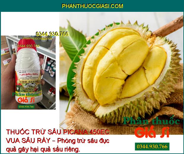 THUỐC TRỪ SÂU PICANA 450EC VUA SÂU RẦY – Phòng Trừ Các Loại Sâu- Rầy Gây Hại