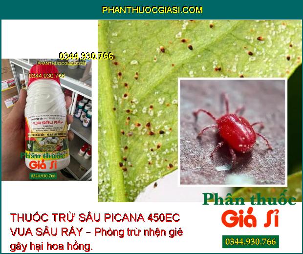 THUỐC TRỪ SÂU PICANA 450EC VUA SÂU RẦY – Phòng Trừ Các Loại Sâu- Rầy Gây Hại