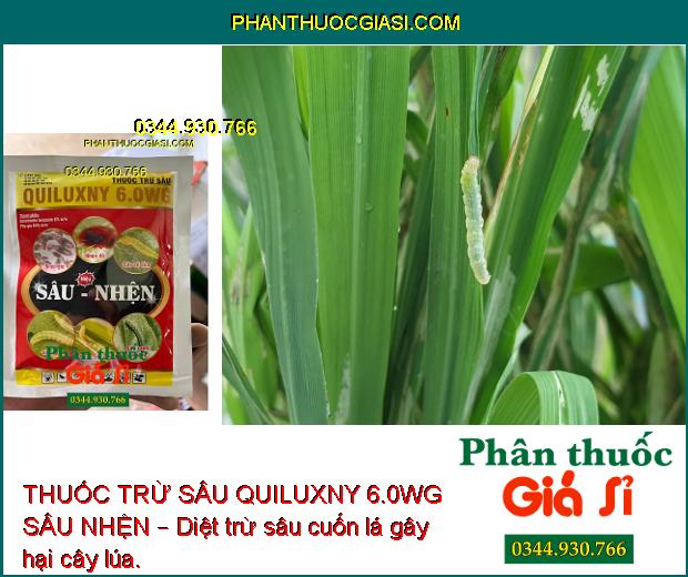 THUỐC TRỪ SÂU QUILUXNY 6.0WG SÂU NHỆN – Tiêu Diệt Nhanh Côn Trùng và Nhện