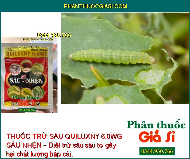 THUỐC TRỪ SÂU QUILUXNY 6.0WG SÂU NHỆN – Tiêu Diệt Nhanh Côn Trùng và Nhện