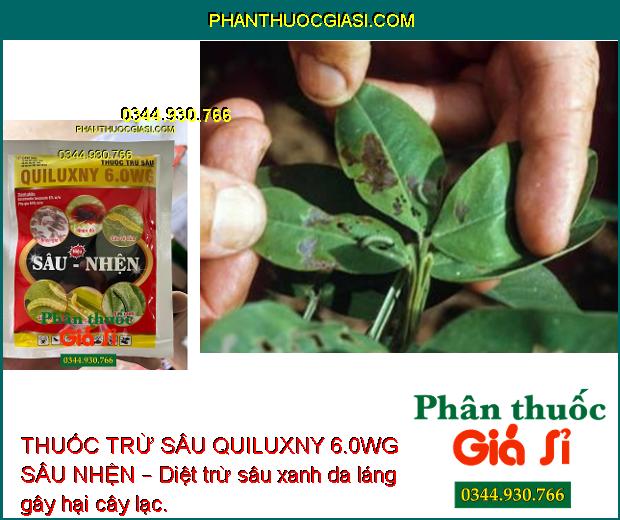 THUỐC TRỪ SÂU QUILUXNY 6.0WG SÂU NHỆN – Tiêu Diệt Nhanh Côn Trùng và Nhện