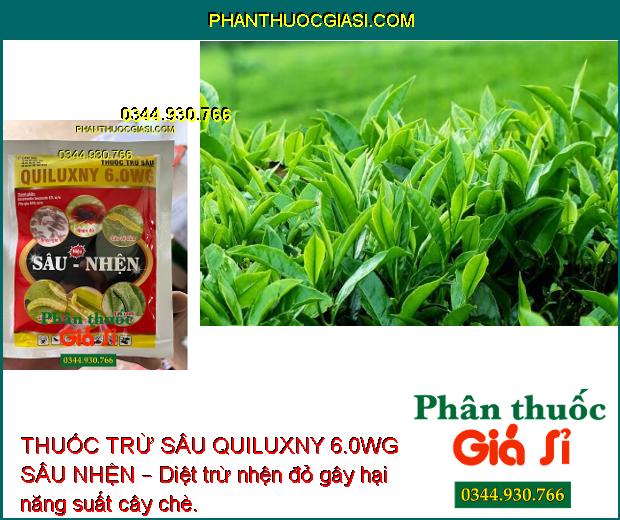 THUỐC TRỪ SÂU QUILUXNY 6.0WG SÂU NHỆN – Tiêu Diệt Nhanh Côn Trùng và Nhện