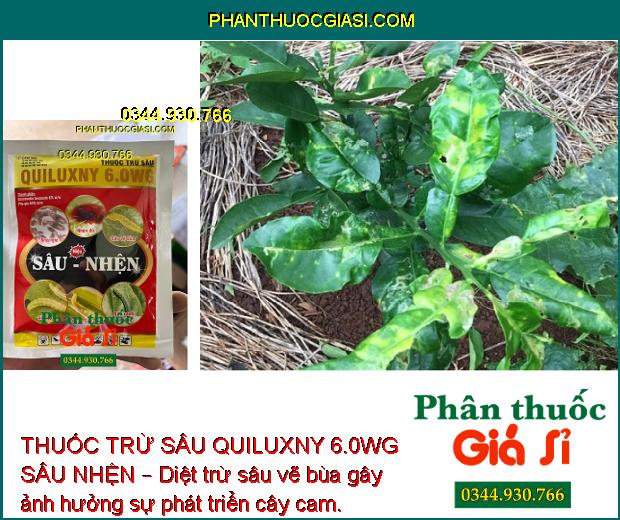 THUỐC TRỪ SÂU QUILUXNY 6.0WG SÂU NHỆN – Tiêu Diệt Nhanh Côn Trùng và Nhện