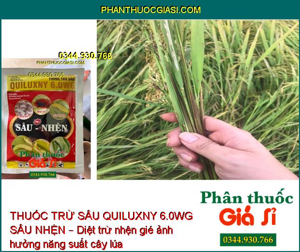 THUỐC TRỪ SÂU QUILUXNY 6.0WG SÂU NHỆN – Tiêu Diệt Nhanh Côn Trùng và Nhện