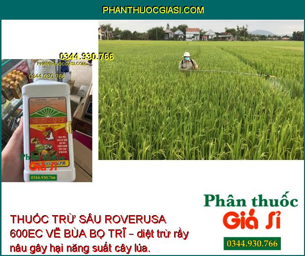 THUỐC TRỪ SÂU ROVERUSA 600EC VẼ BÙA BỌ TRĨ – Đặc Trị Sâu Vẽ Bùa- Bọ Trĩ Gây Hại