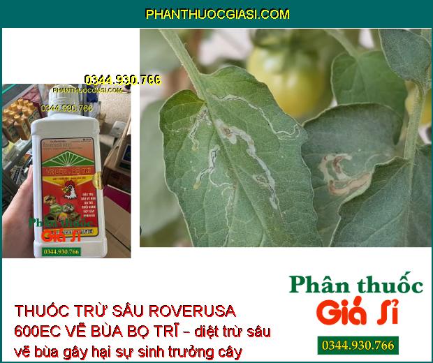 THUỐC TRỪ SÂU ROVERUSA 600EC VẼ BÙA BỌ TRĨ – Đặc Trị Sâu Vẽ Bùa- Bọ Trĩ Gây Hại