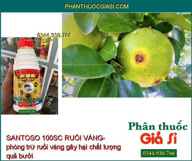 SANTOSO 100SC RUỒI VÀNG-  Diệt Trừ Nhiều Loại Côn Trùng Gây Hại