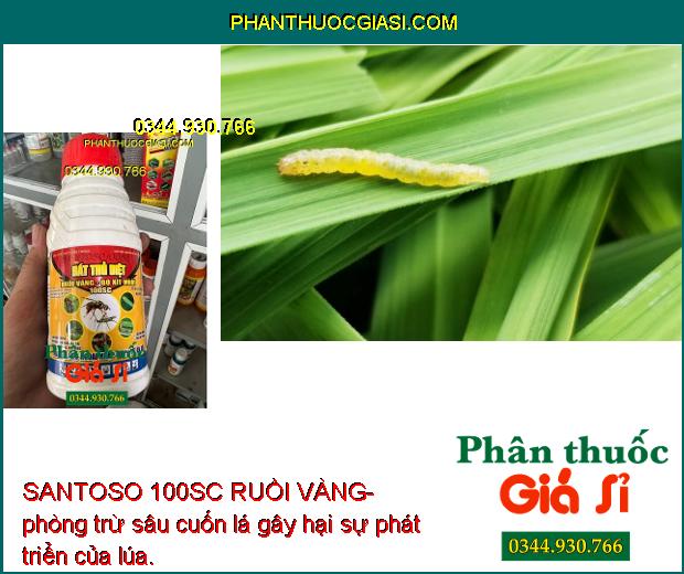 SANTOSO 100SC RUỒI VÀNG-  Diệt Trừ Nhiều Loại Côn Trùng Gây Hại