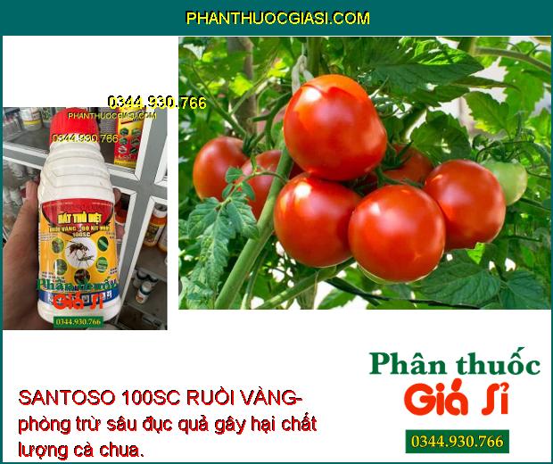 SANTOSO 100SC RUỒI VÀNG-  Diệt Trừ Nhiều Loại Côn Trùng Gây Hại