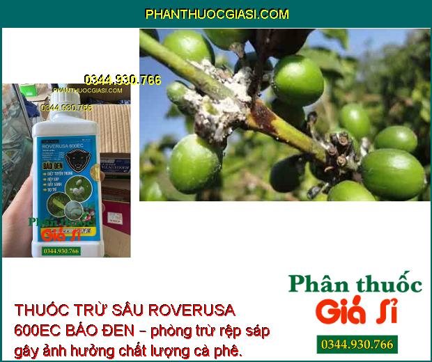 THUỐC TRỪ SÂU ROVERUSA 600EC BÁO ĐEN – Phòng Trừ Các Loại Sâu Rầy Gây Hại