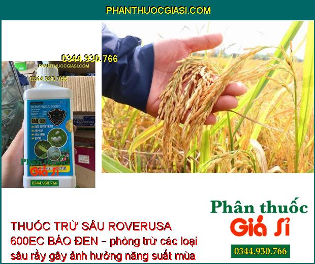 THUỐC TRỪ SÂU ROVERUSA 600EC BÁO ĐEN – Phòng Trừ Các Loại Sâu Rầy Gây Hại