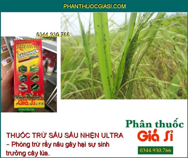 THUỐC TRỪ SÂU SÂU NHỆN ULTRA – Đặc Trị Nhiều Loại Sâu Gây Hại