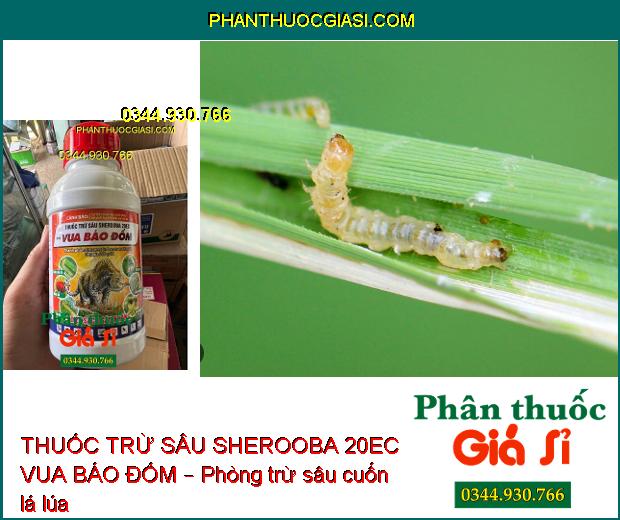 THUỐC TRỪ SÂU SHEROOBA 20EC VUA BÁO ĐỐM – Đặc Trừ Sâu Cuốn Lá- Sâu Khoang Hại Lạc