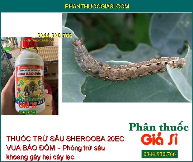 THUỐC TRỪ SÂU SHEROOBA 20EC VUA BÁO ĐỐM – Đặc Trừ Sâu Cuốn Lá- Sâu Khoang Hại Lạc