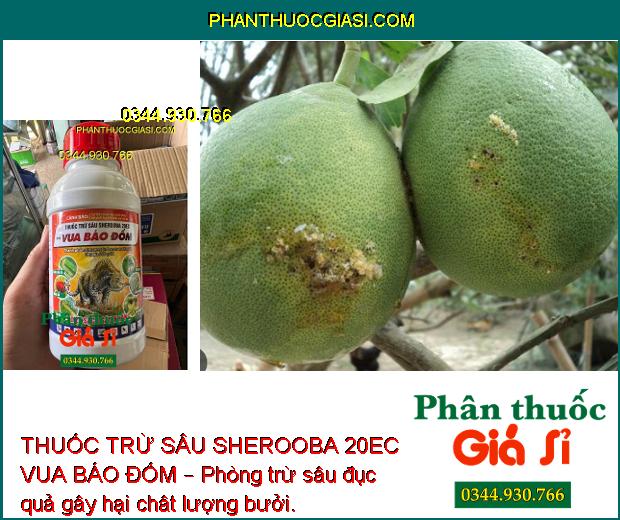 THUỐC TRỪ SÂU SHEROOBA 20EC VUA BÁO ĐỐM – Đặc Trừ Sâu Cuốn Lá- Sâu Khoang Hại Lạc