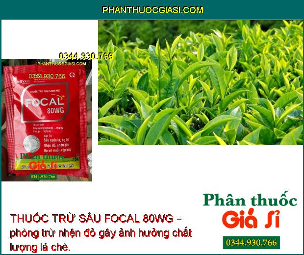 THUỐC TRỪ SÂU FOCAL 80WG – Đặc Trị Sâu Cuốn Lá- Sâu Đục Quả- Nhiều loại côn trùng gây hại