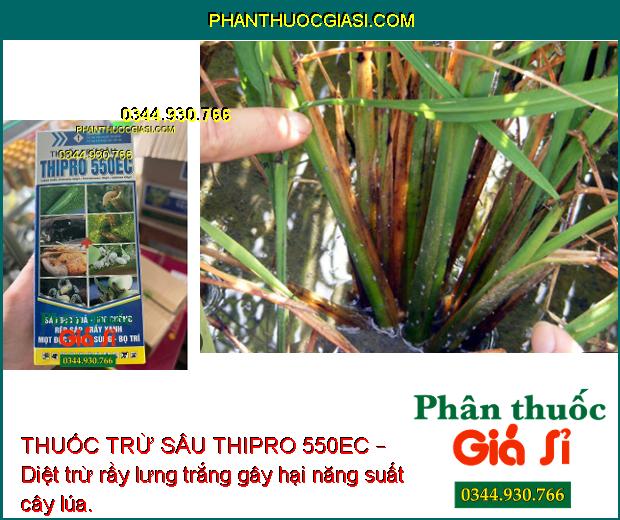 THUỐC TRỪ SÂU THIPRO 550EC – Đặc Trị Các Loại Sâu Rầy Gây Hại