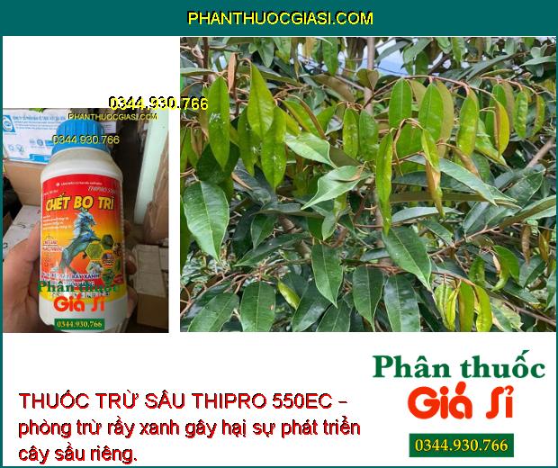 THUỐC TRỪ SÂU THIPRO 550EC – Đặc Trị Sâu Rệp Khó Trị