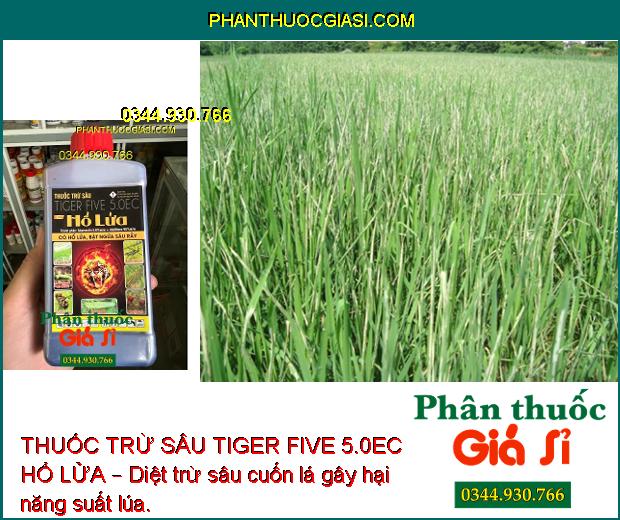 THUỐC TRỪ SÂU TIGER FIVE 5.0EC HỔ LỬA – Đặc Trị Sâu Cuốn Lá và Các Loại Sâu Khác