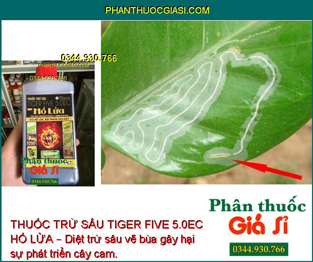 THUỐC TRỪ SÂU TIGER FIVE 5.0EC HỔ LỬA – Đặc Trị Sâu Cuốn Lá và Các Loại Sâu Khác