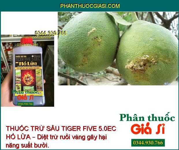 THUỐC TRỪ SÂU TIGER FIVE 5.0EC HỔ LỬA – Đặc Trị Sâu Cuốn Lá và Các Loại Sâu Khác