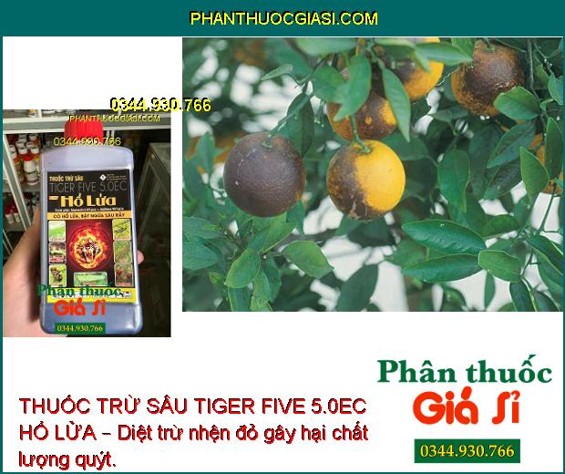 THUỐC TRỪ SÂU TIGER FIVE 5.0EC HỔ LỬA – Đặc Trị Sâu Cuốn Lá và Các Loại Sâu Khác