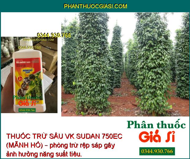 THUỐC TRỪ SÂU VK SUDAN 750EC (MÃNH HỔ) – Đăc Trị Sâu Rầy Gây Hại Cây Trồng