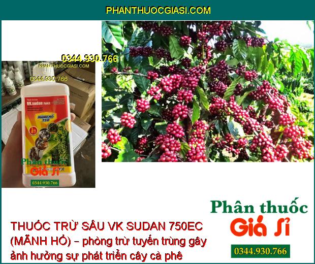 THUỐC TRỪ SÂU VK SUDAN 750EC (MÃNH HỔ) – Đăc Trị Sâu Rầy Gây Hại Cây Trồng