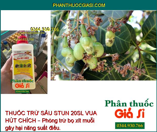 THUỐC TRỪ SÂU STUN 20SL VUA HÚT CHÍCH – Đặc Trị Các Loại Côn Trùng Hút Chích