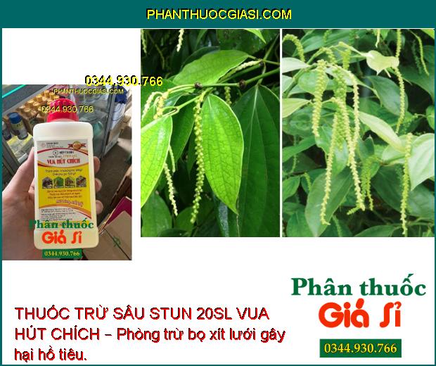 THUỐC TRỪ SÂU STUN 20SL VUA HÚT CHÍCH – Đặc Trị Các Loại Côn Trùng Hút Chích