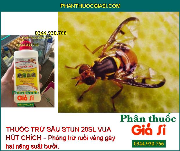 THUỐC TRỪ SÂU STUN 20SL VUA HÚT CHÍCH – Đặc Trị Các Loại Côn Trùng Hút Chích