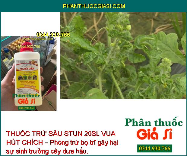 THUỐC TRỪ SÂU STUN 20SL VUA HÚT CHÍCH – Đặc Trị Các Loại Côn Trùng Hút Chích