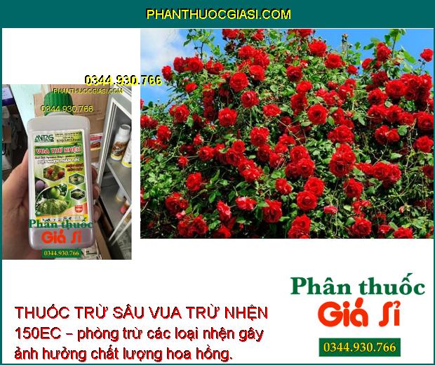 THUỐC TRỪ SÂU VUA TRỪ NHỆN 150EC – Đặc Trị Nhện Đỏ- Hiệu Quả Kéo Dài