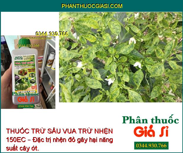 THUỐC TRỪ SÂU VUA TRỪ NHỆN 150EC – Đặc Trị Nhện Đỏ- Hiệu Quả Kéo Dài