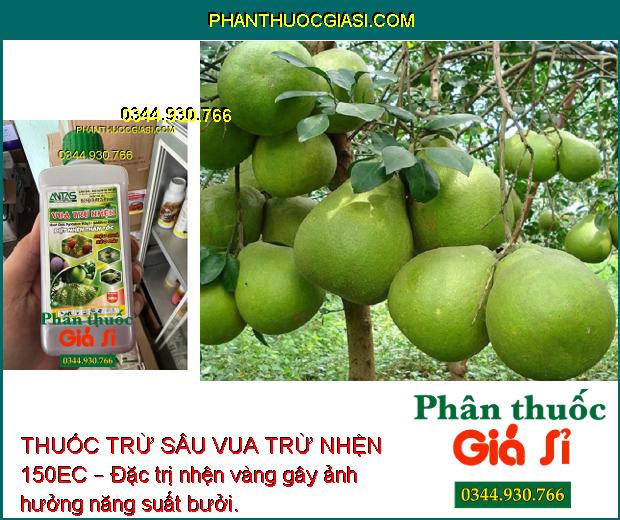 THUỐC TRỪ SÂU VUA TRỪ NHỆN 150EC – Đặc Trị Nhện Đỏ- Hiệu Quả Kéo Dài