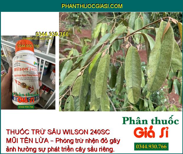 THUỐC TRỪ SÂU WILSON 240SC MŨI TÊN LỬA – Đặc Trị Nhện Đỏ Trên Cây Có Múi