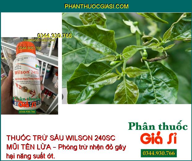 THUỐC TRỪ SÂU WILSON 240SC MŨI TÊN LỬA – Đặc Trị Nhện Đỏ Trên Cây Có Múi