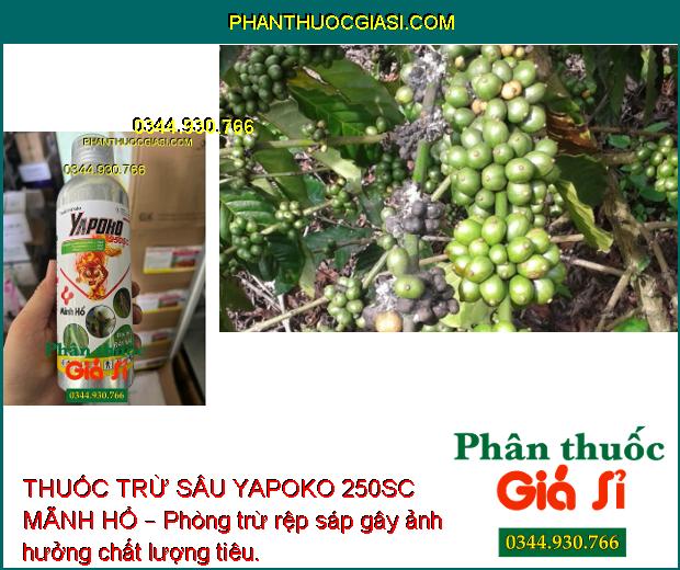 THUỐC TRỪ SÂU YAPOKO 250SC MÃNH HỔ – Đặc Trị Rầy Nâu- Bọ Xít Hôi- Sâu Cuốn lá... 