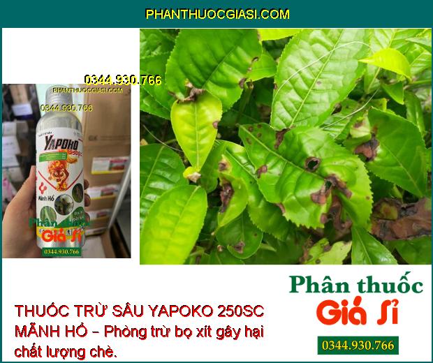 THUỐC TRỪ SÂU YAPOKO 250SC MÃNH HỔ – Đặc Trị Rầy Nâu- Bọ Xít Hôi- Sâu Cuốn lá... 