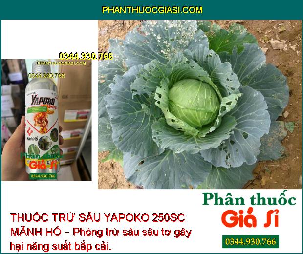 THUỐC TRỪ SÂU YAPOKO 250SC MÃNH HỔ – Đặc Trị Rầy Nâu- Bọ Xít Hôi- Sâu Cuốn lá... 