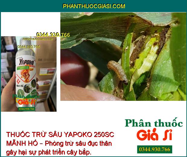 THUỐC TRỪ SÂU YAPOKO 250SC MÃNH HỔ – Đặc Trị Rầy Nâu- Bọ Xít Hôi- Sâu Cuốn lá... 