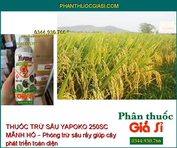 THUỐC TRỪ SÂU YAPOKO 250SC MÃNH HỔ – Đặc Trị Rầy Nâu- Bọ Xít Hôi- Sâu Cuốn lá... 