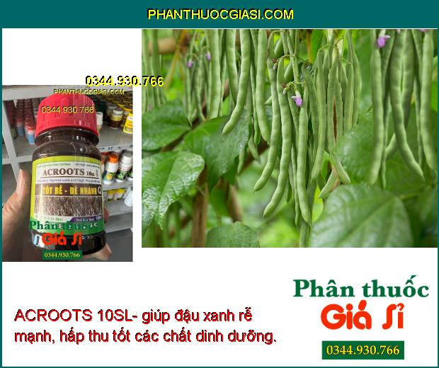 ACROOTS 10SL- Tốt Rễ - Đẻ Nhánh